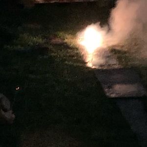 Meet your Posher, Brandy